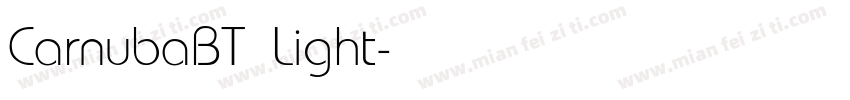 CarnubaBT Light字体转换